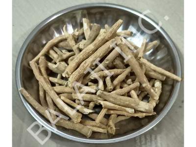 ashwagandha-root-wholesale-suppliers-withania-somnifera