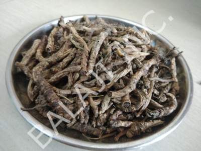 kutki-karu-kadoo-kutki-roots-picrorhiza-Kurroa-wholesale-suppliers